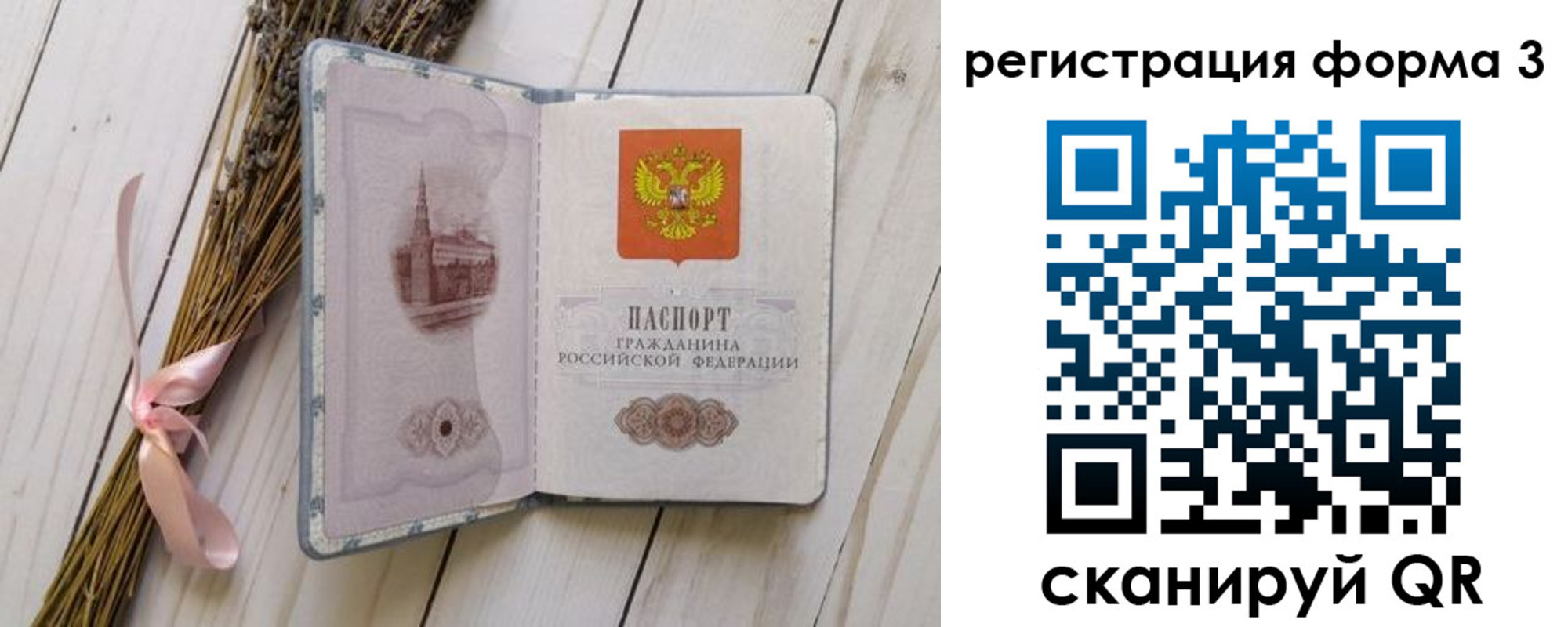 прописка поиск в Карелии
